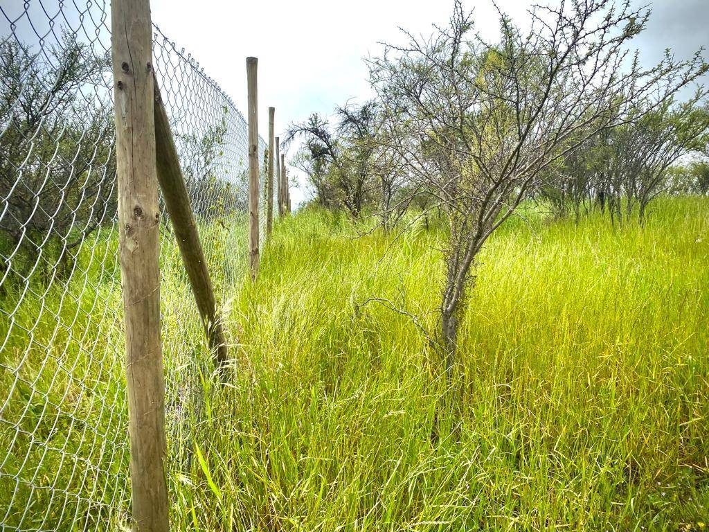 Parcela en venta en Limache — foto 3