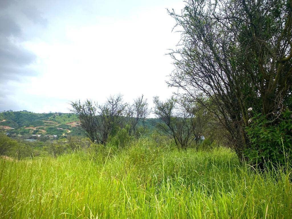 Parcela en venta en Limache — foto 5