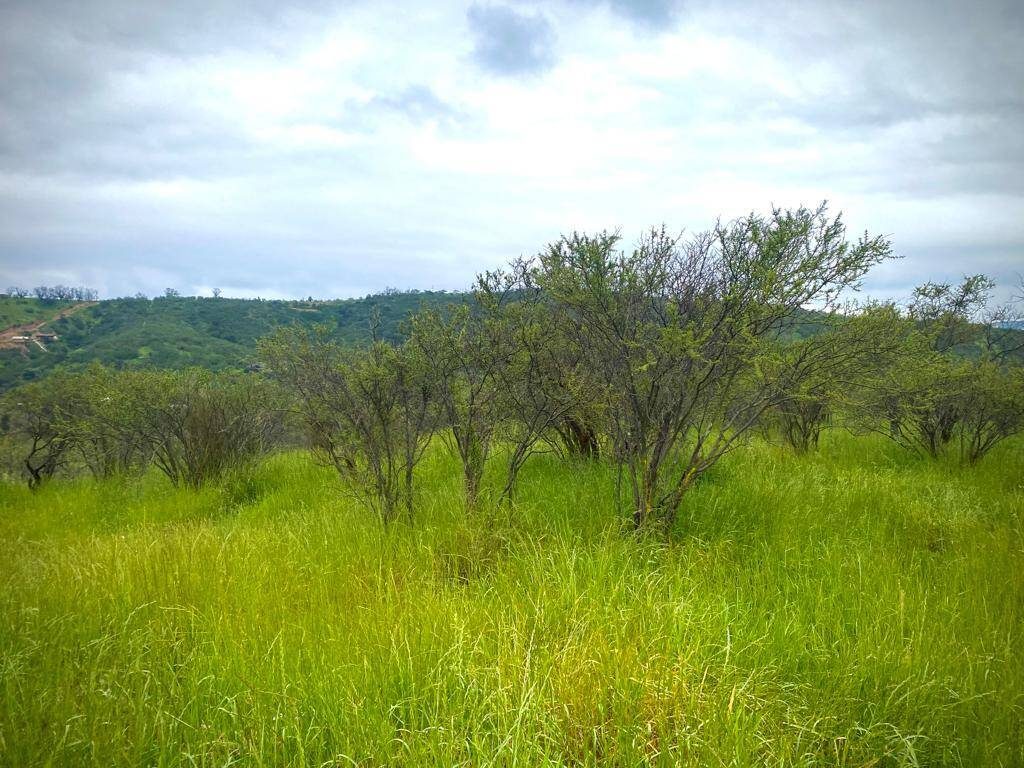 Parcela en venta en Limache — foto 8