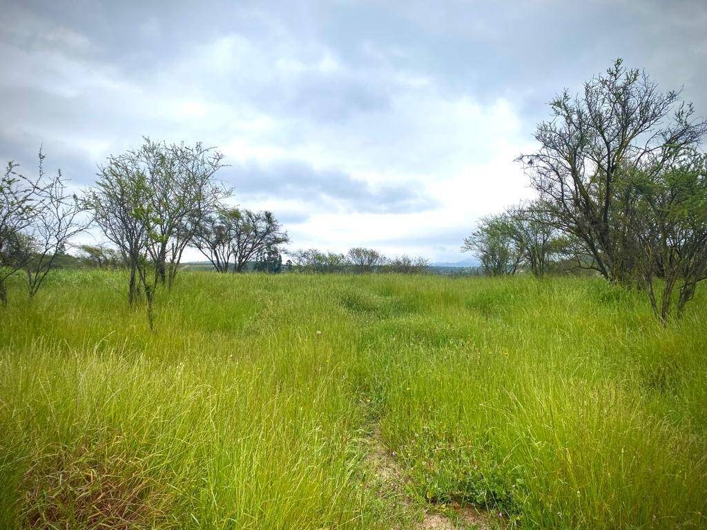 Parcela en venta en Limache — foto 9