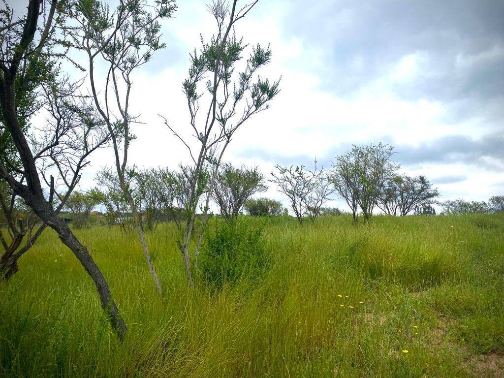 Parcela en venta en Limache — foto 10