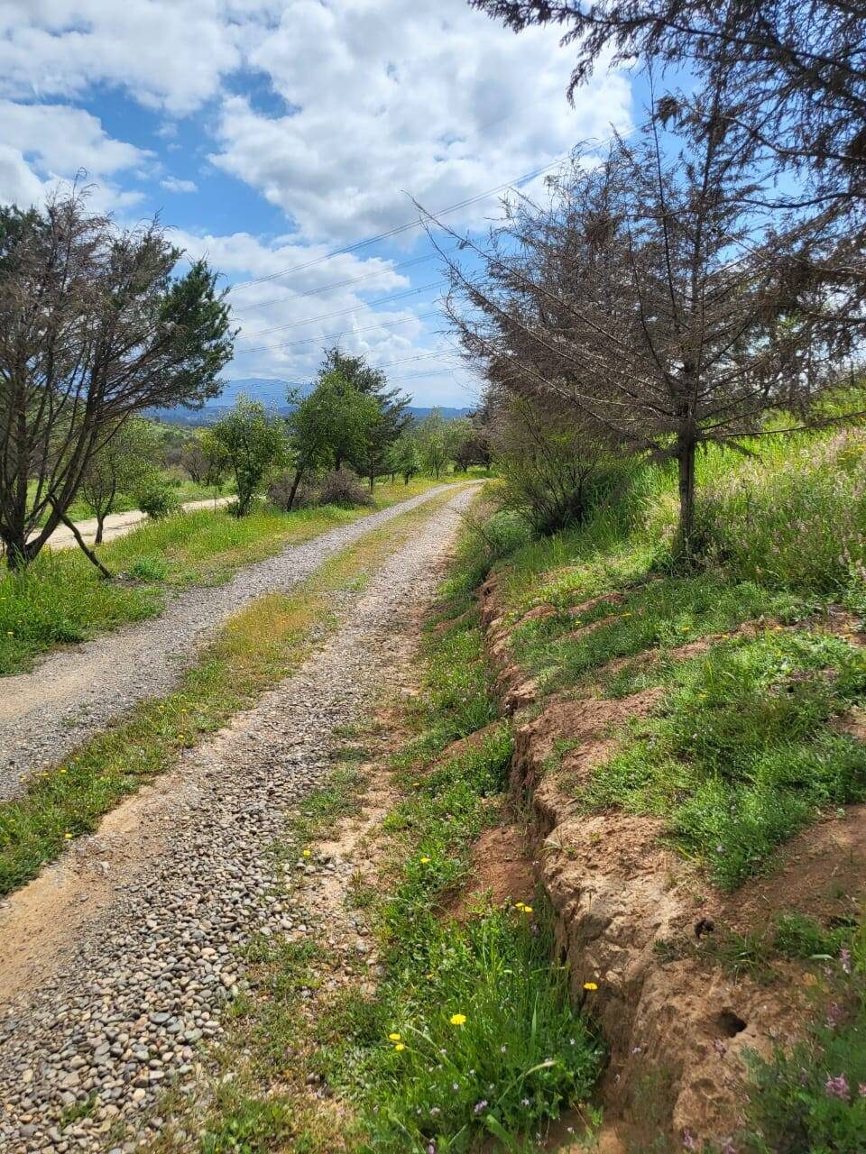 Parcela en venta en Limache — foto 3