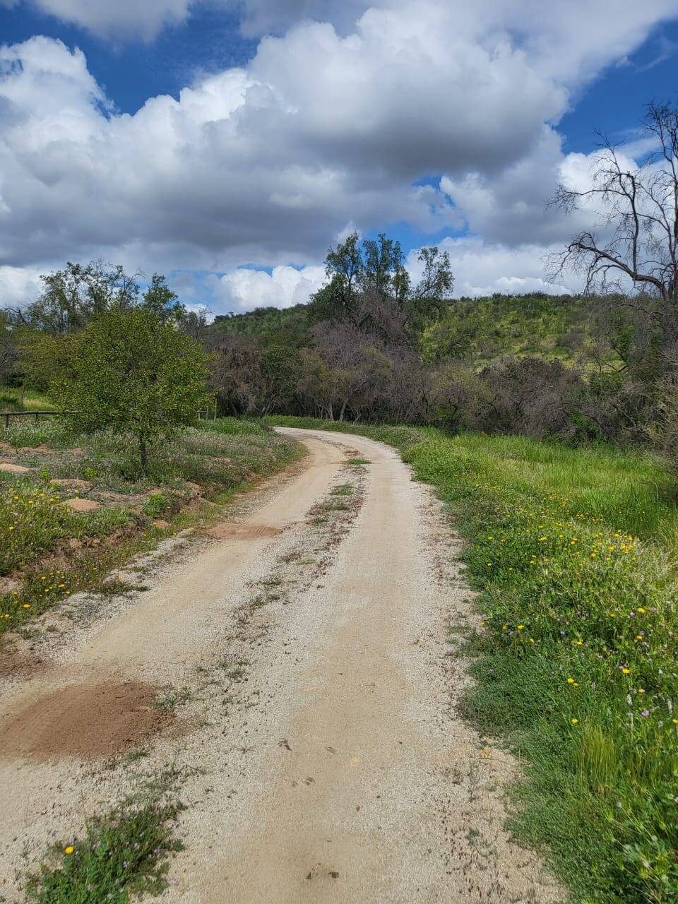 Parcela en venta en Limache — foto 6