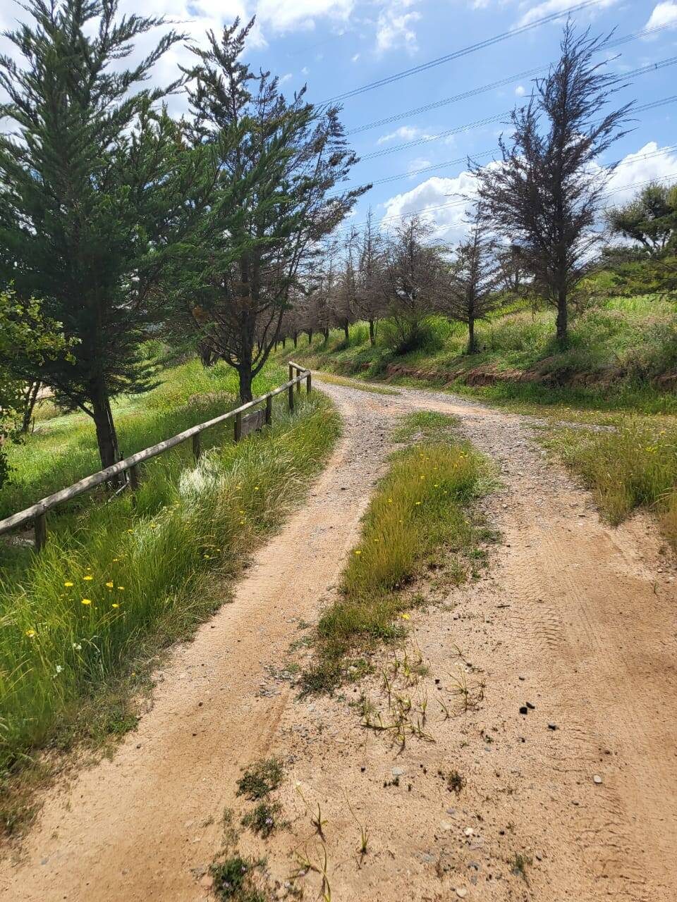 Parcela en venta en Limache — foto 10