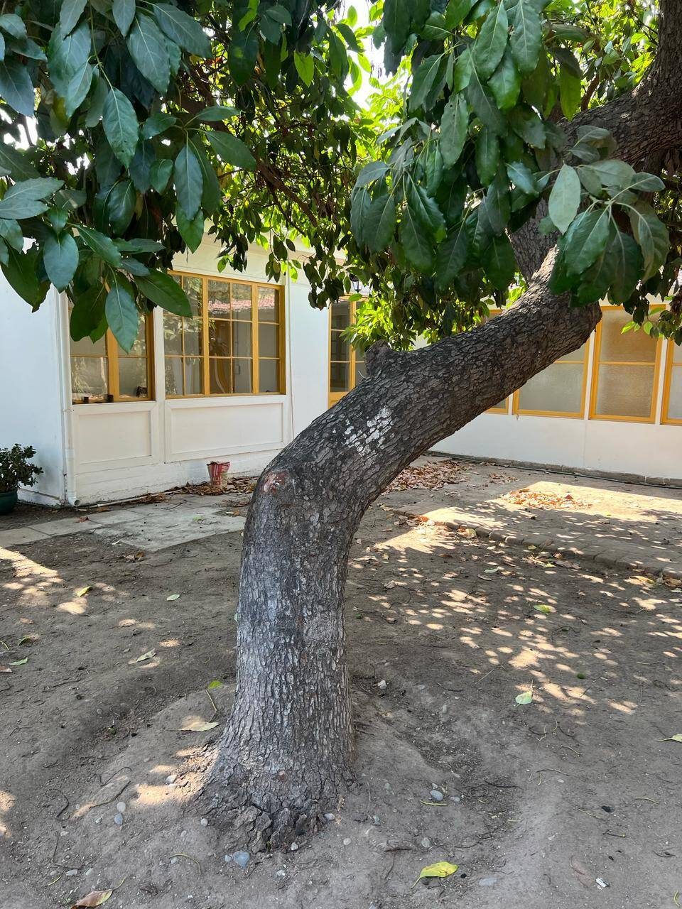 Casa en venta en Quillota — foto 4