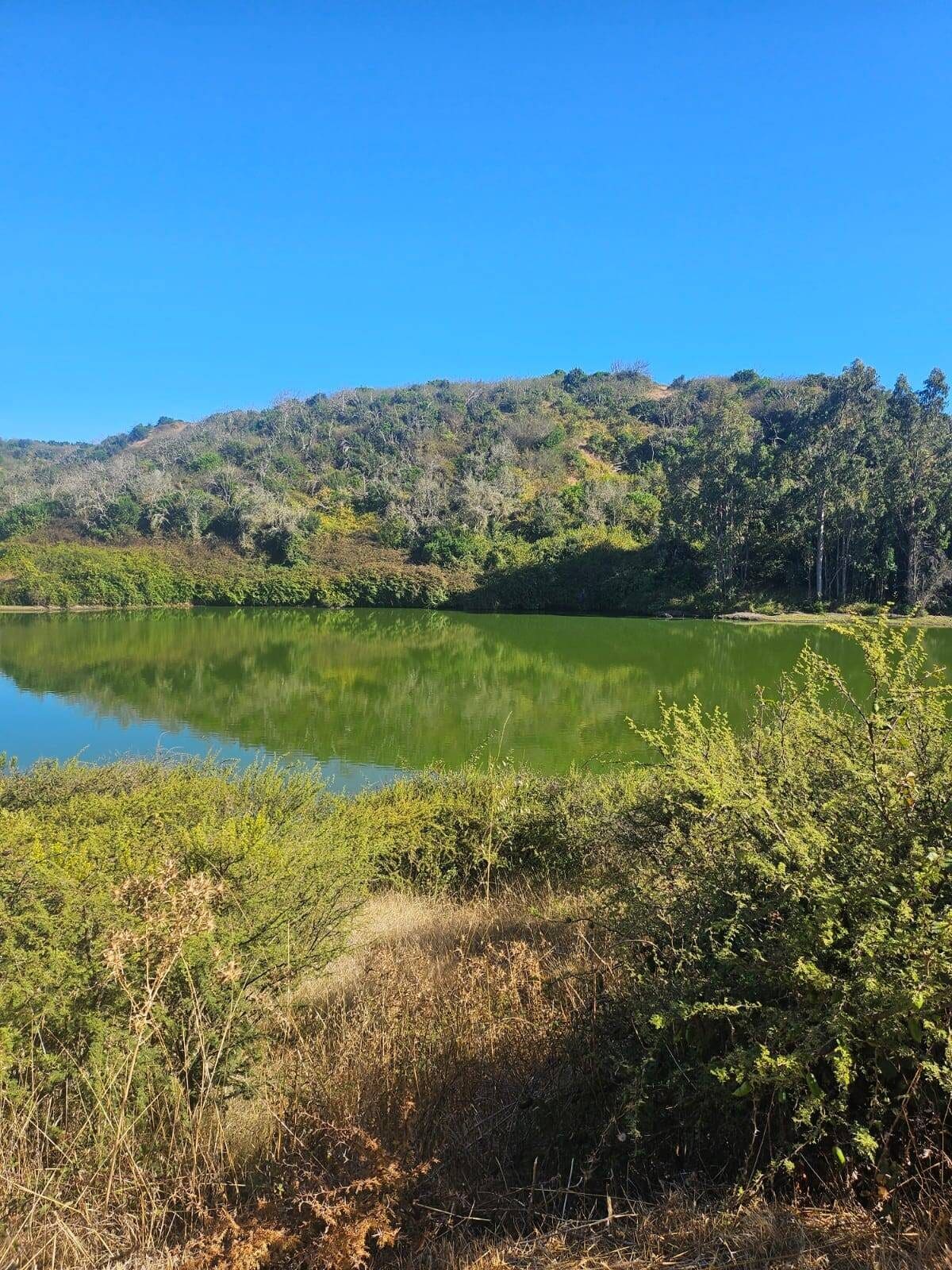Parcela en venta en Santo Domingo — foto 4