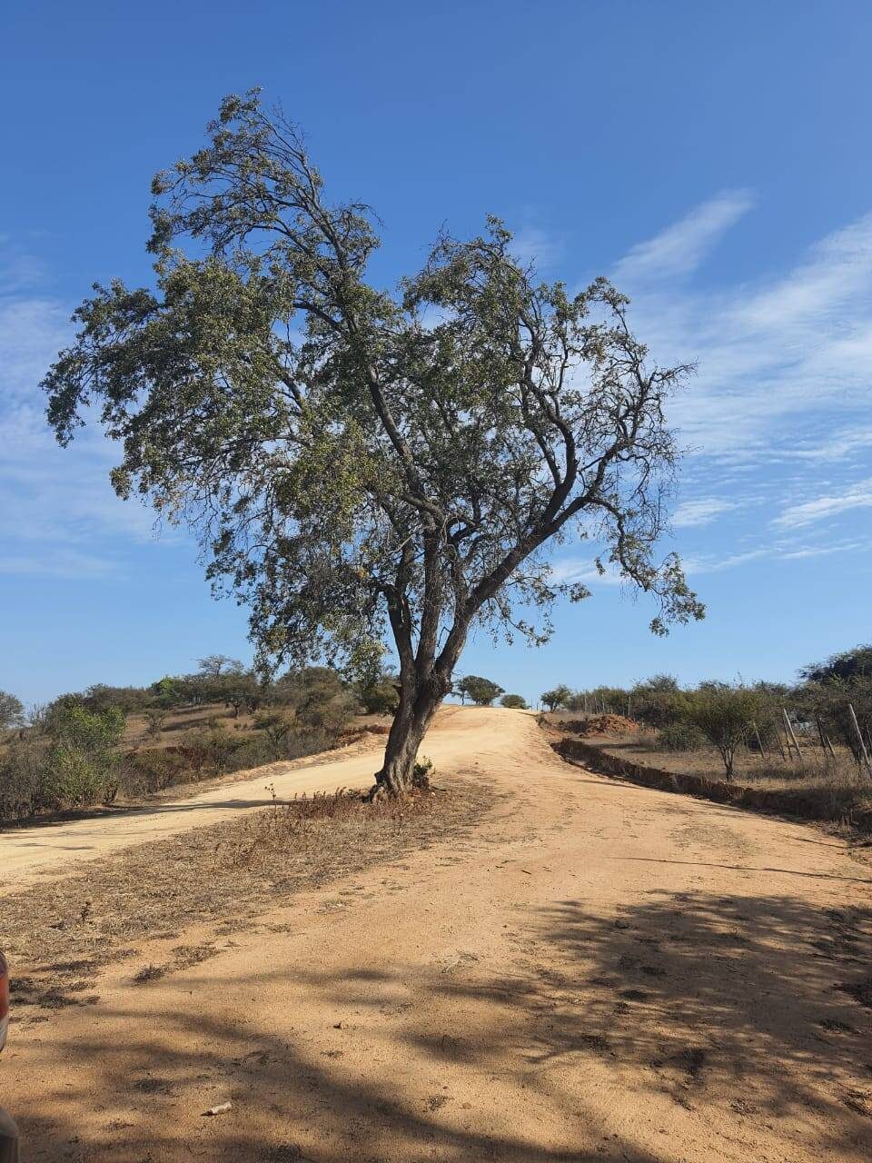 Parcela en venta en Limache — foto 2