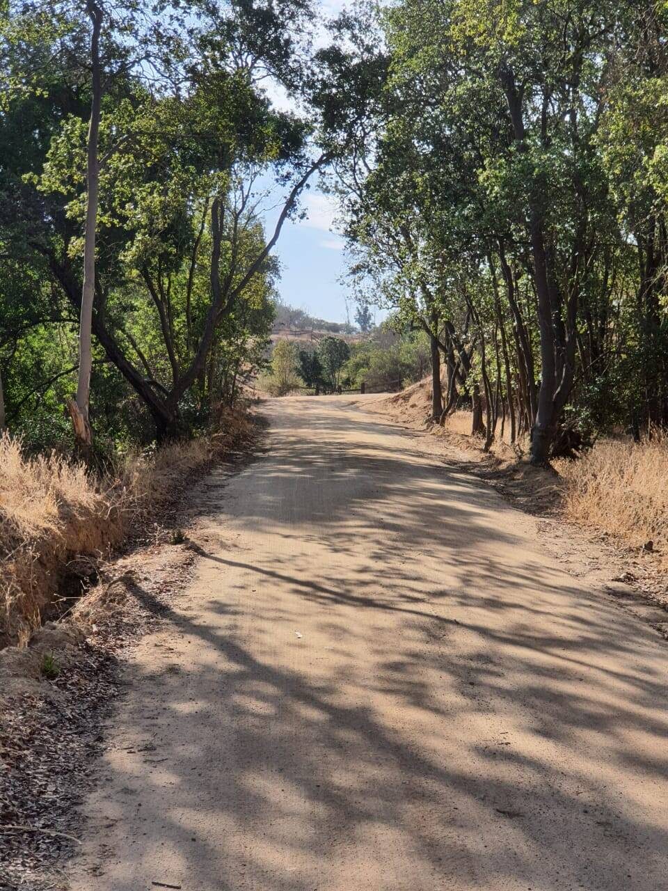 Parcela en venta en Limache — foto 3