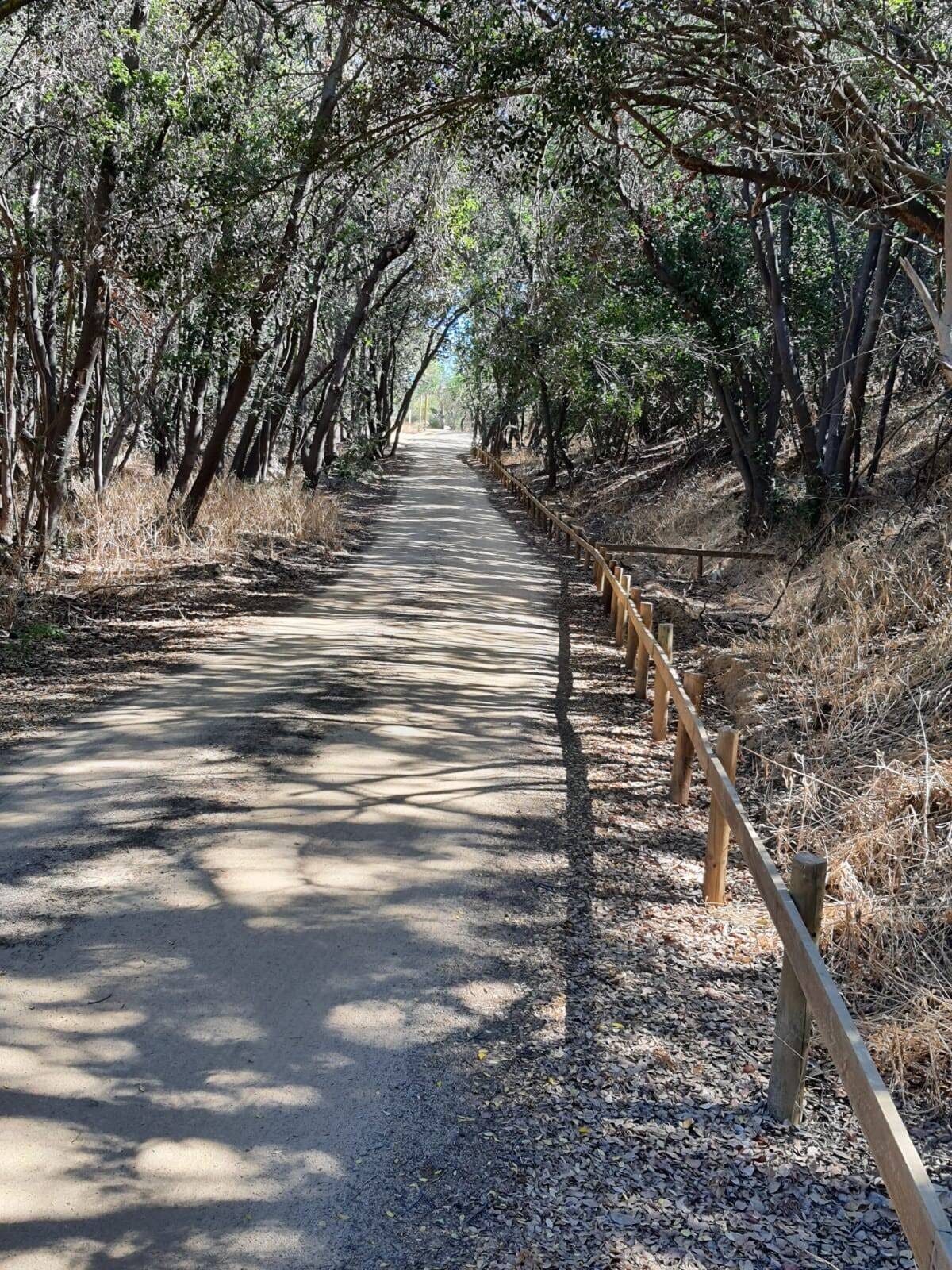 Parcela en venta en Limache — foto 5