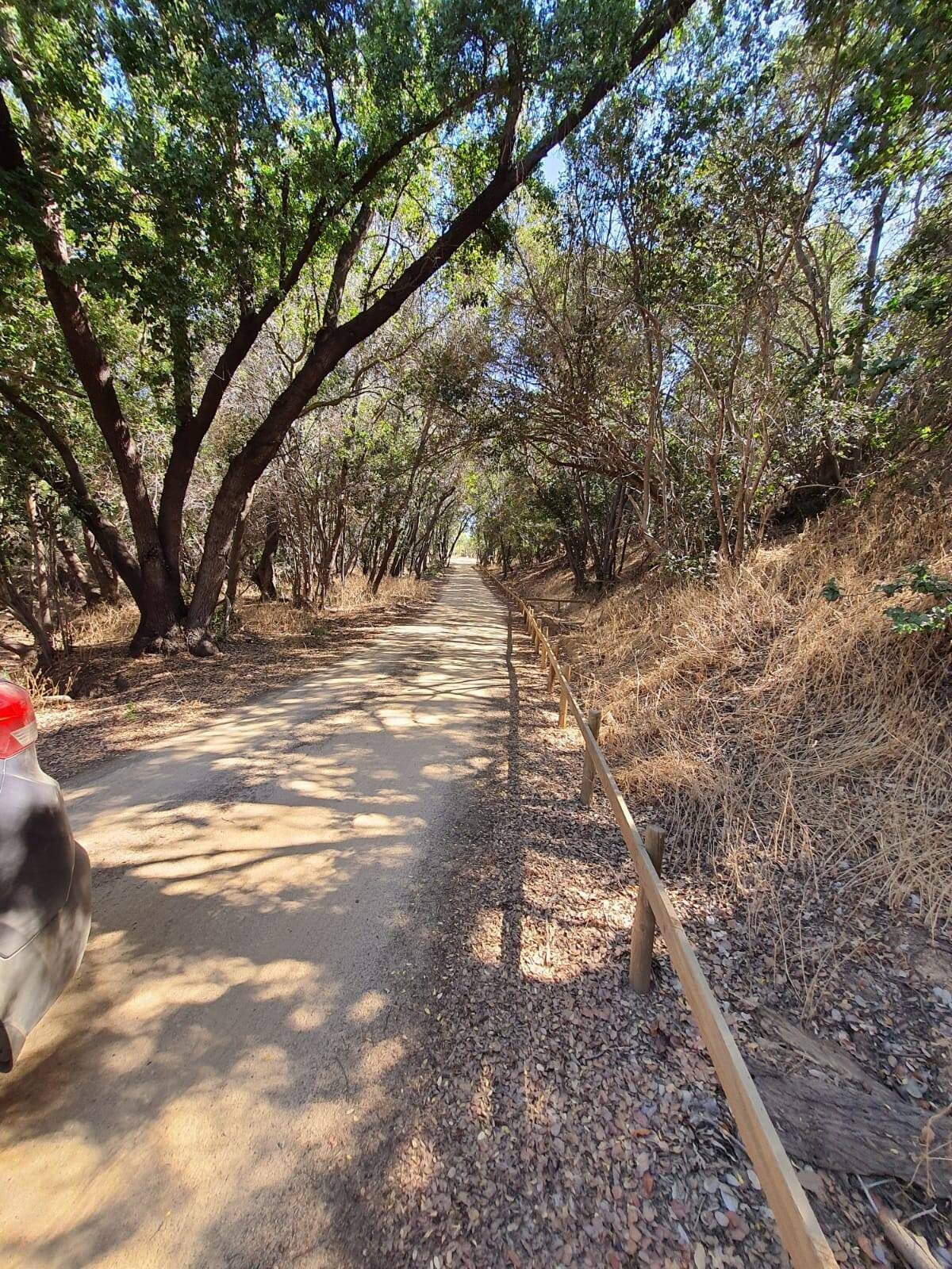 Parcela en venta en Limache — foto 8