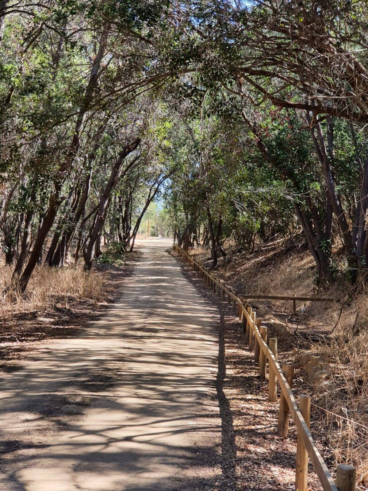 Parcela en venta en Limache — foto 9