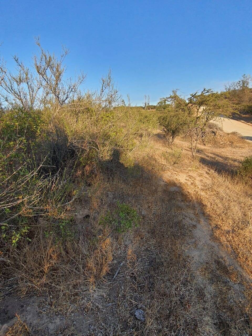 Parcela en venta en Limache — foto 3