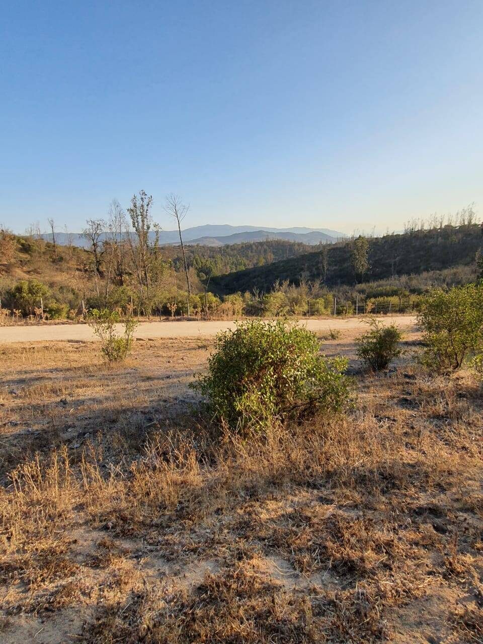 Parcela en venta en Limache — foto 5