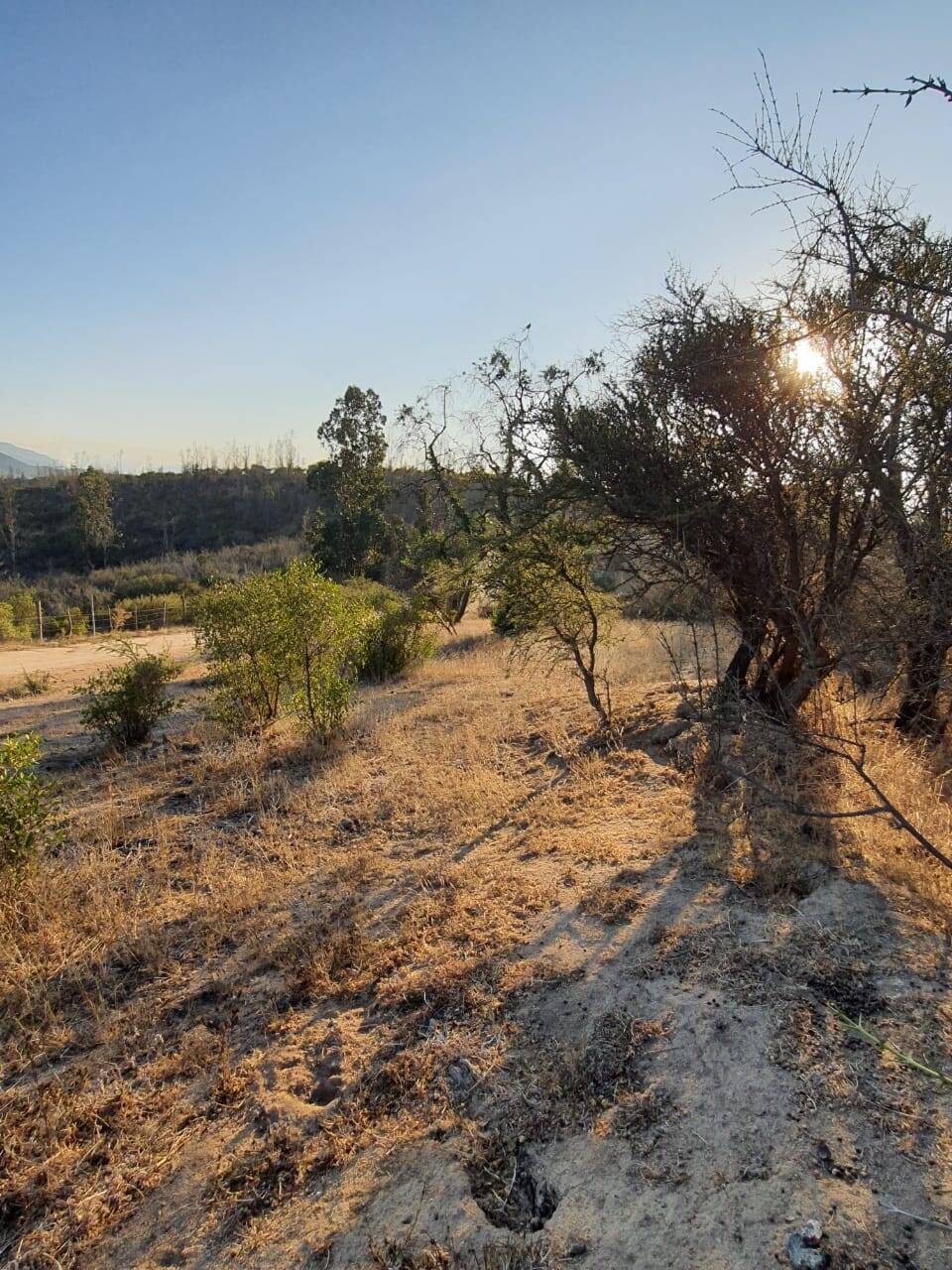 Parcela en venta en Limache — foto 6