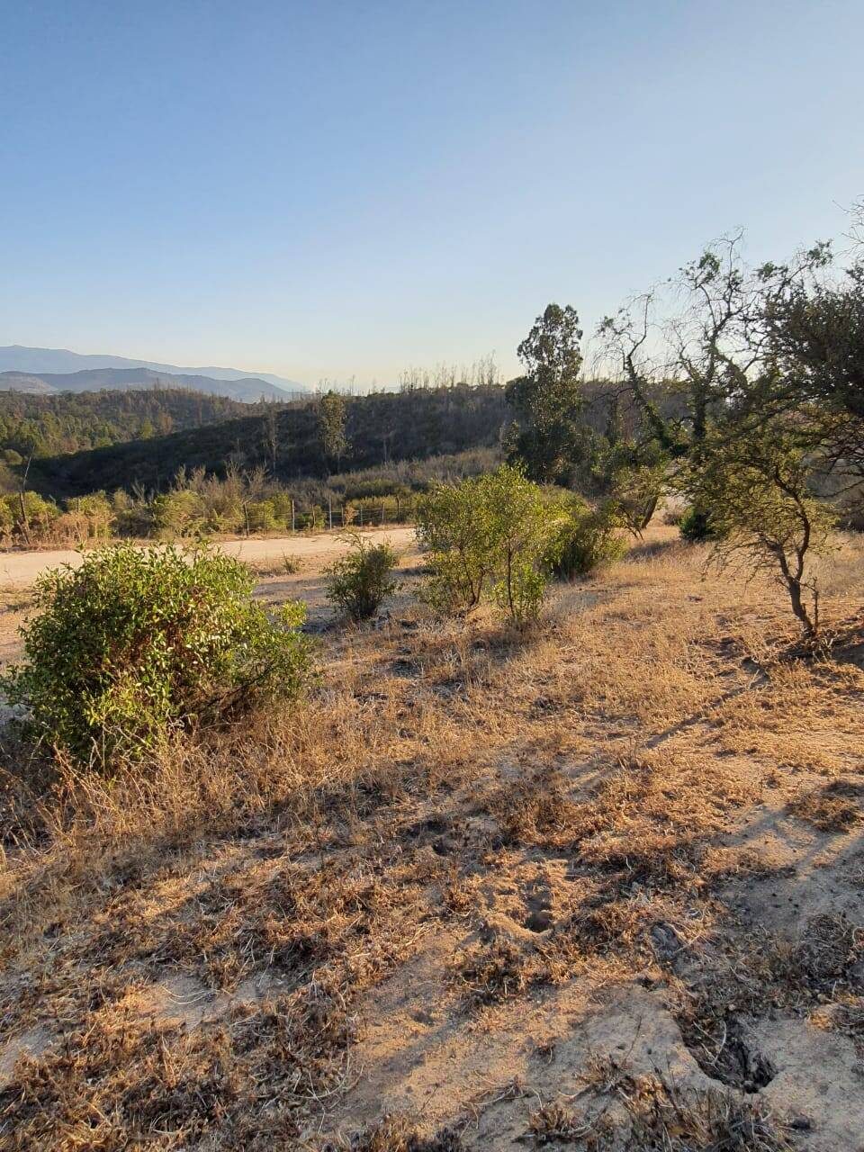 Parcela en venta en Limache — foto 7
