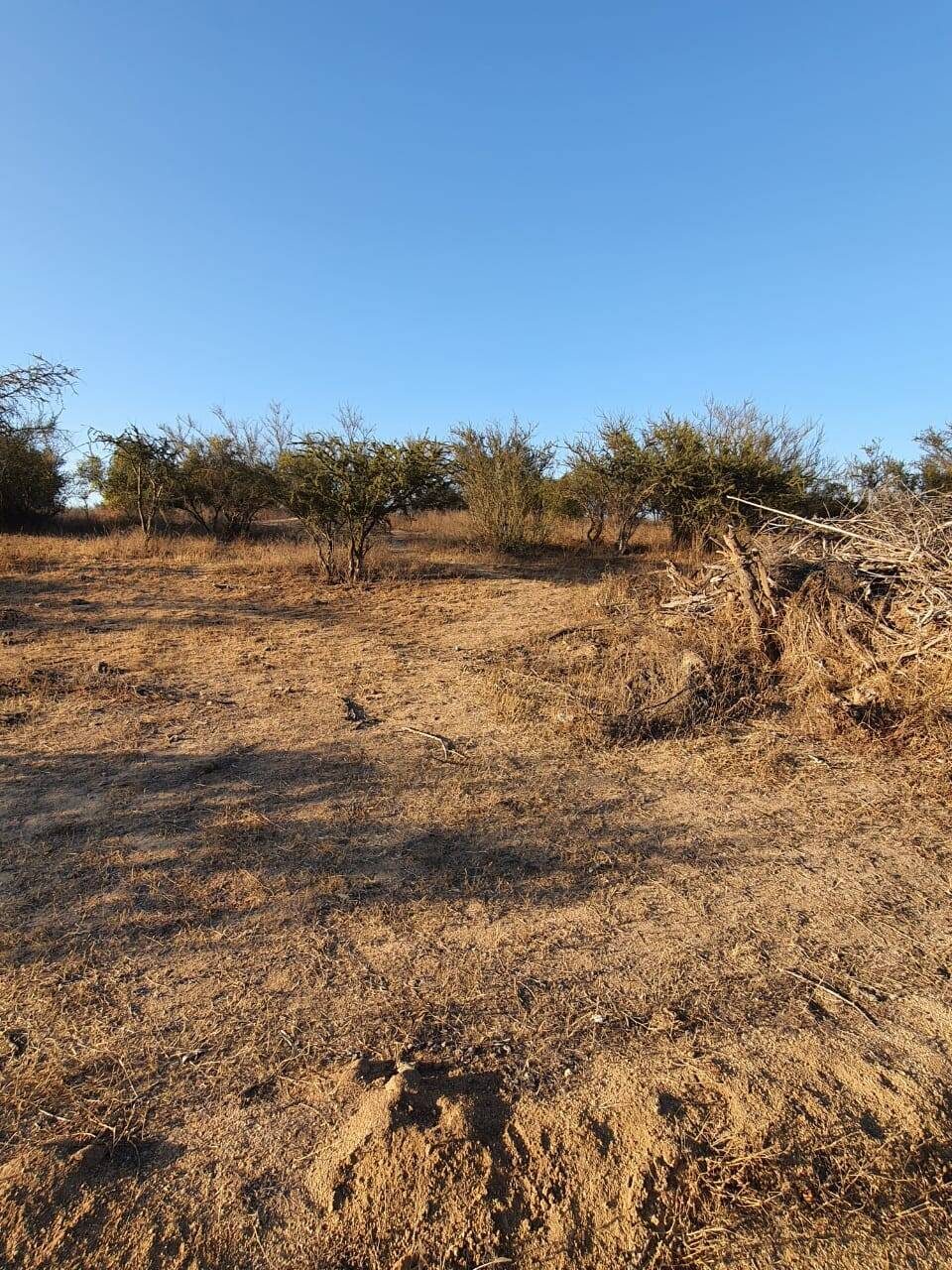 Parcela en venta en Limache — foto 9
