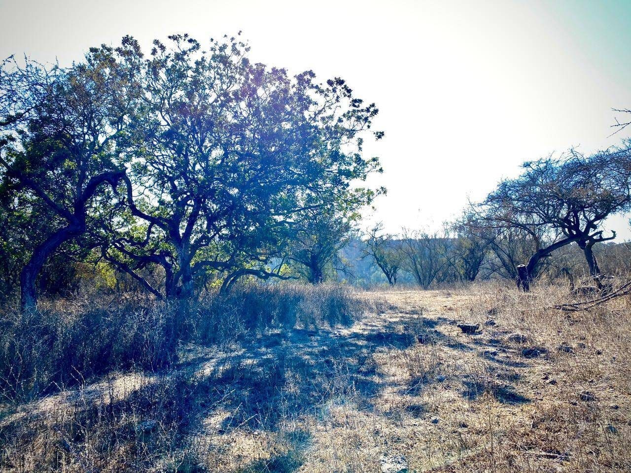 Parcela en venta en Limache — foto 8