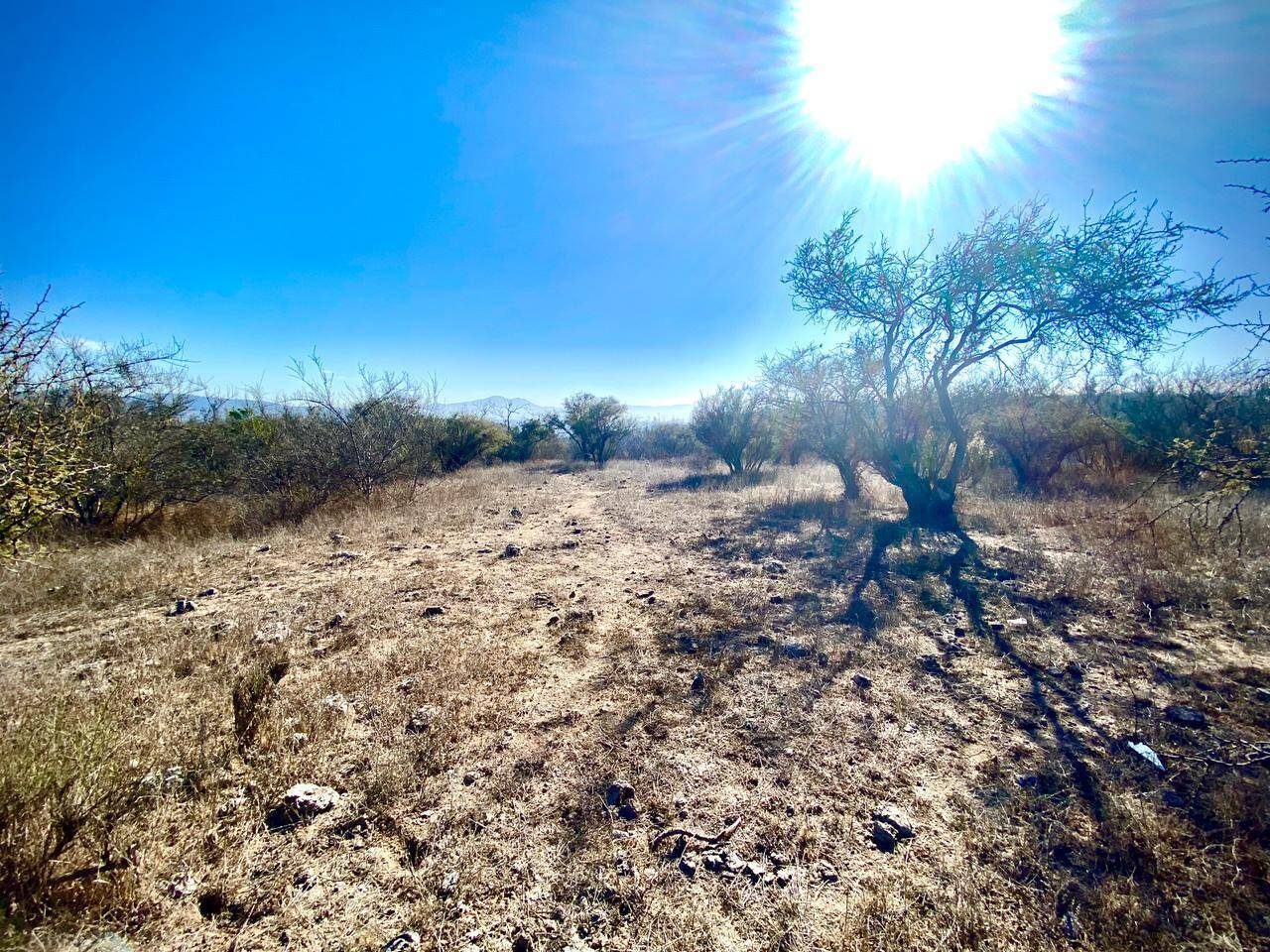 Parcela en venta en Limache — foto 9