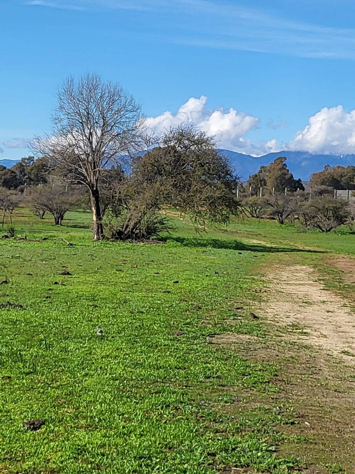 Parcela en venta en Limache — foto 4