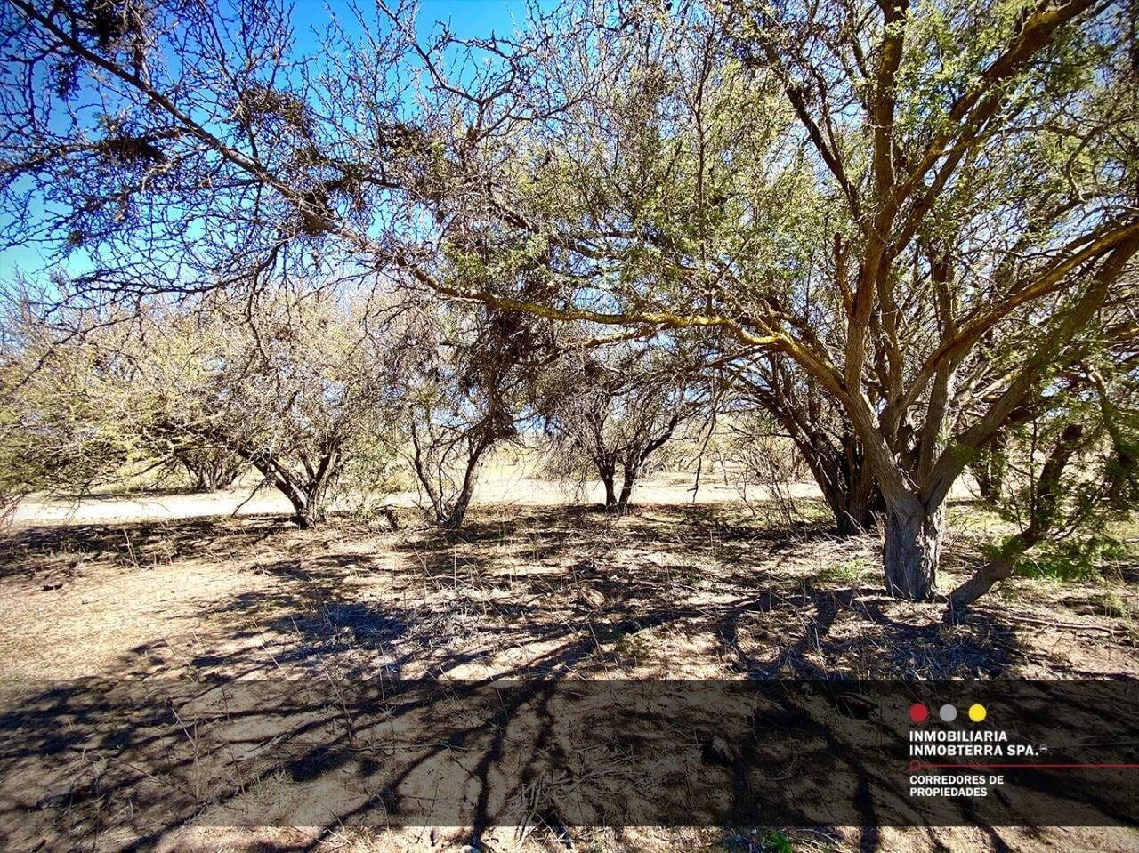 Parcela en venta en Limache — foto 7