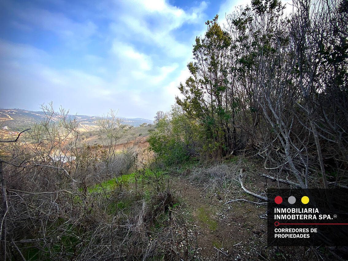 Parcela en venta en Limache — foto 1