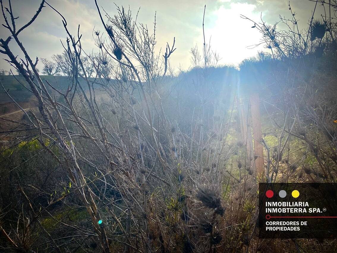 Parcela en venta en Limache — foto 2