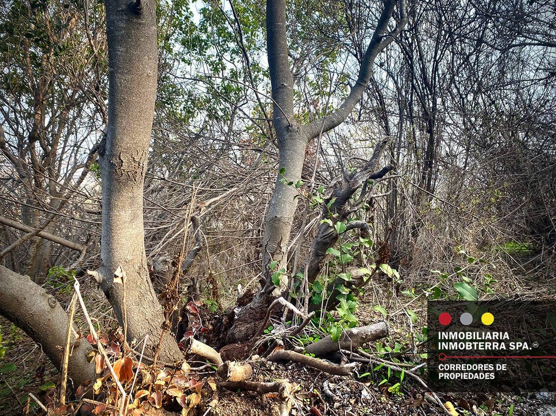 Parcela en venta en Limache — foto 4
