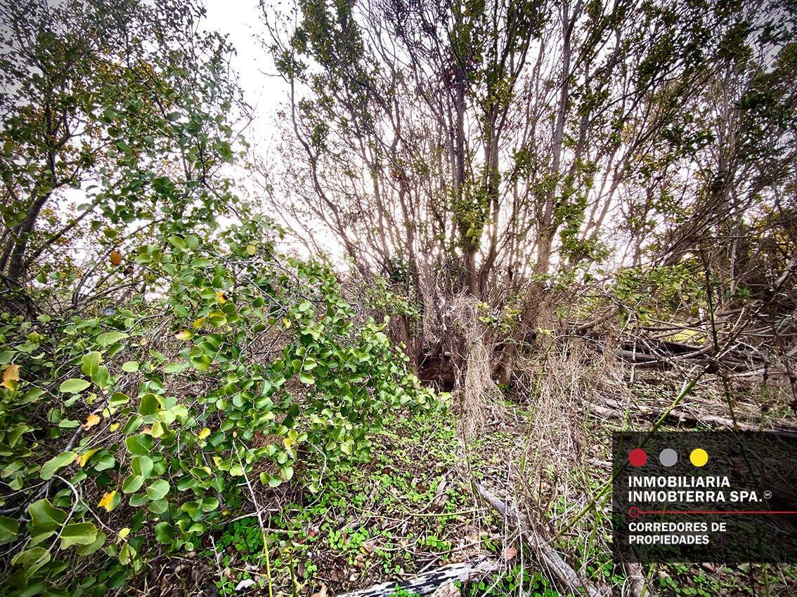 Parcela en venta en Limache — foto 5