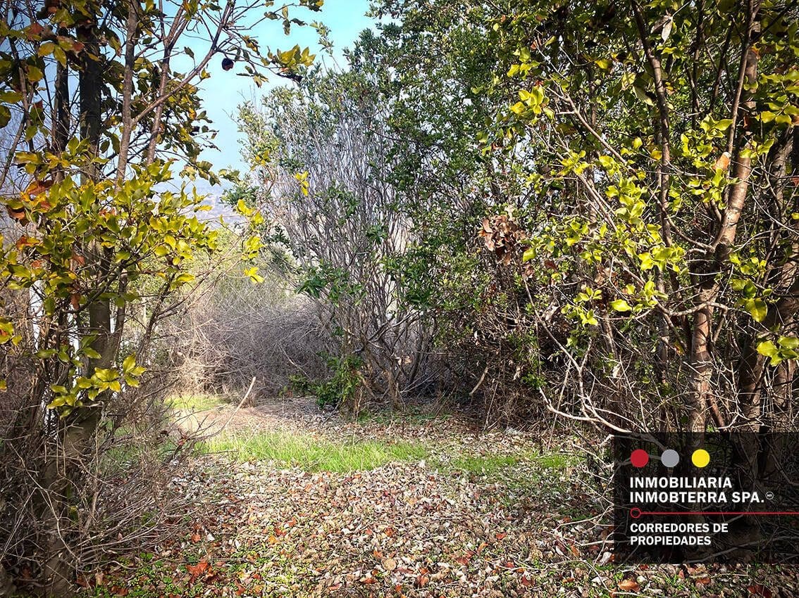 Parcela en venta en Limache — foto 6