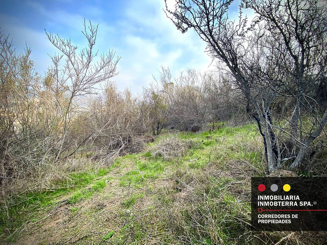 Parcela en venta en Limache — foto 9