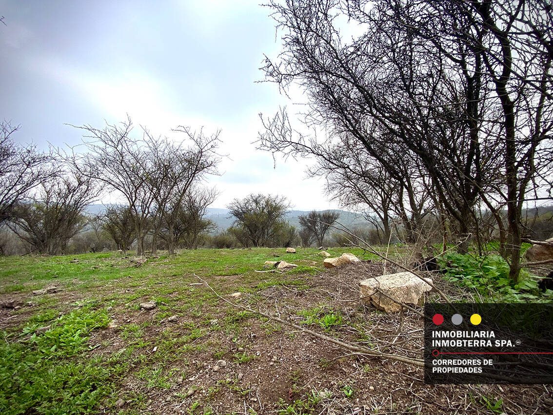 Parcela en venta en Limache — foto 1