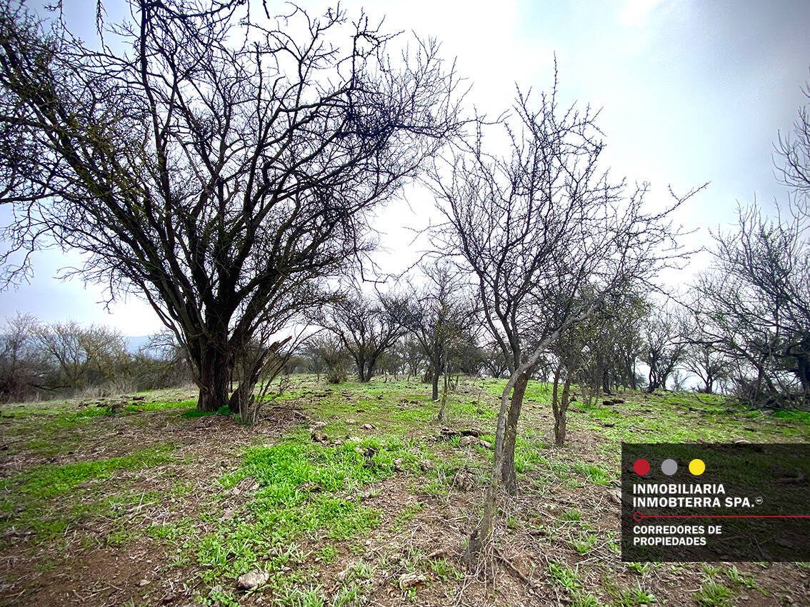 Parcela en venta en Limache — foto 2