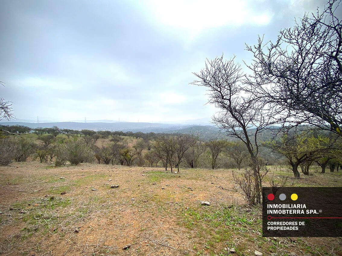 Parcela en venta en Limache — foto 3