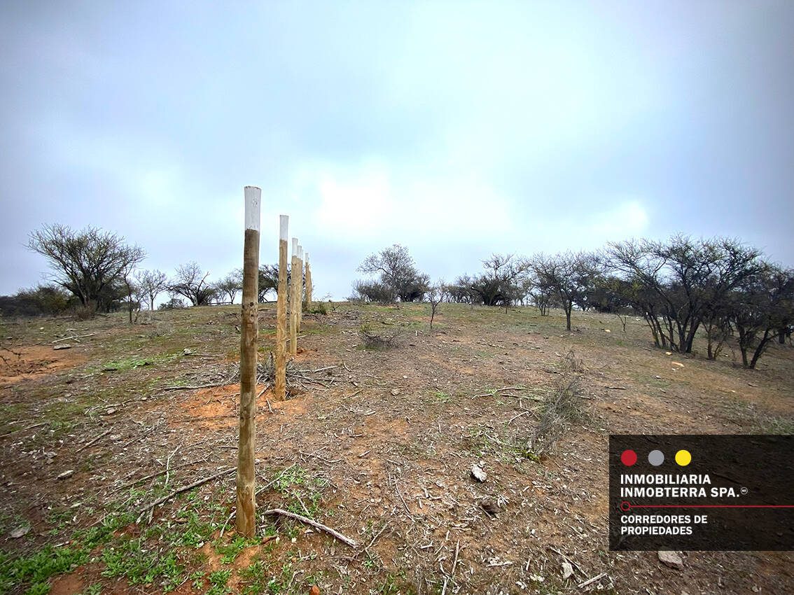 Parcela en venta en Limache — foto 4