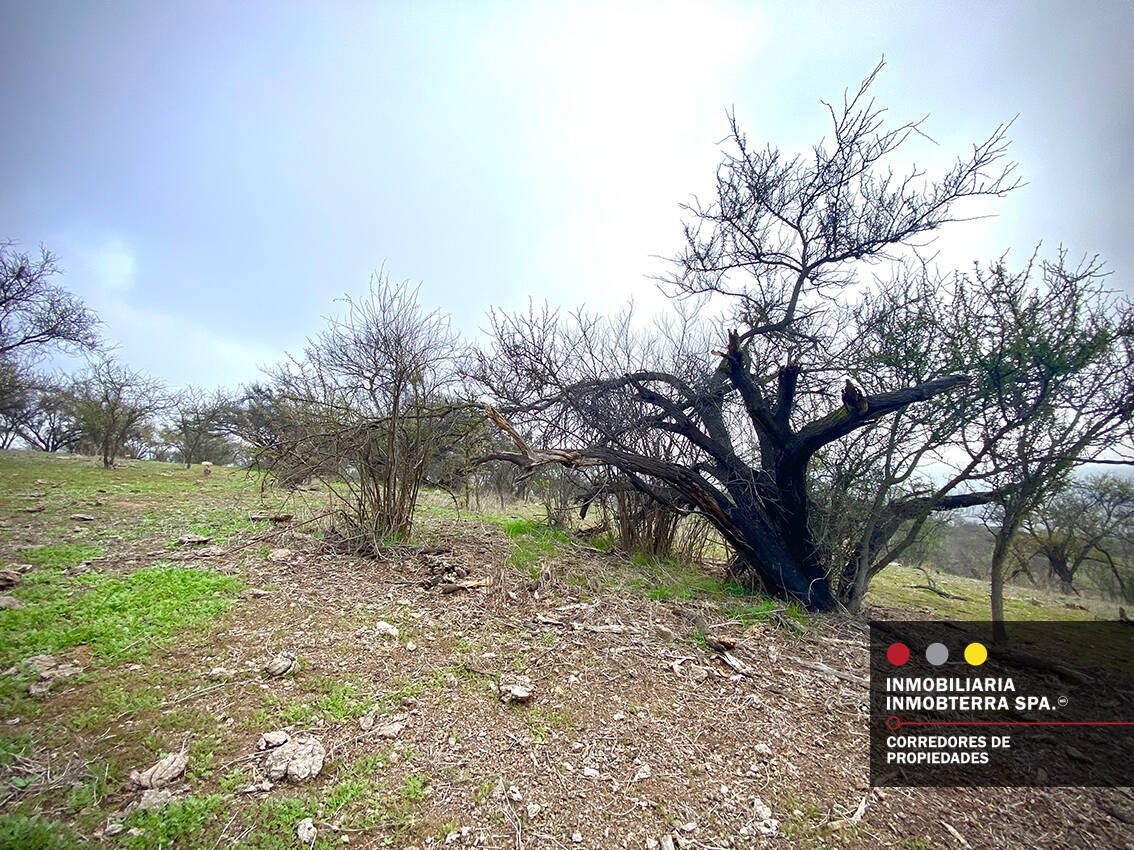Parcela en venta en Limache — foto 7