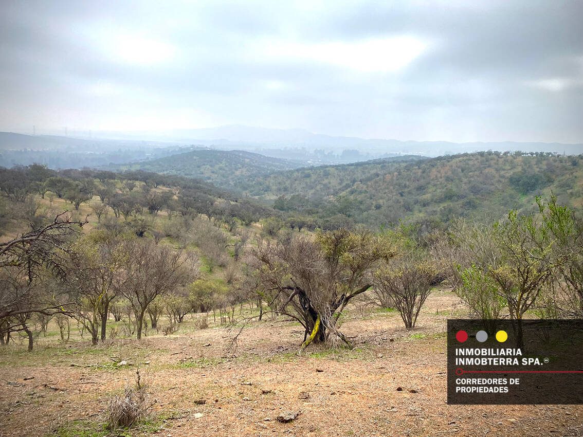 Parcela en venta en Limache — foto 8