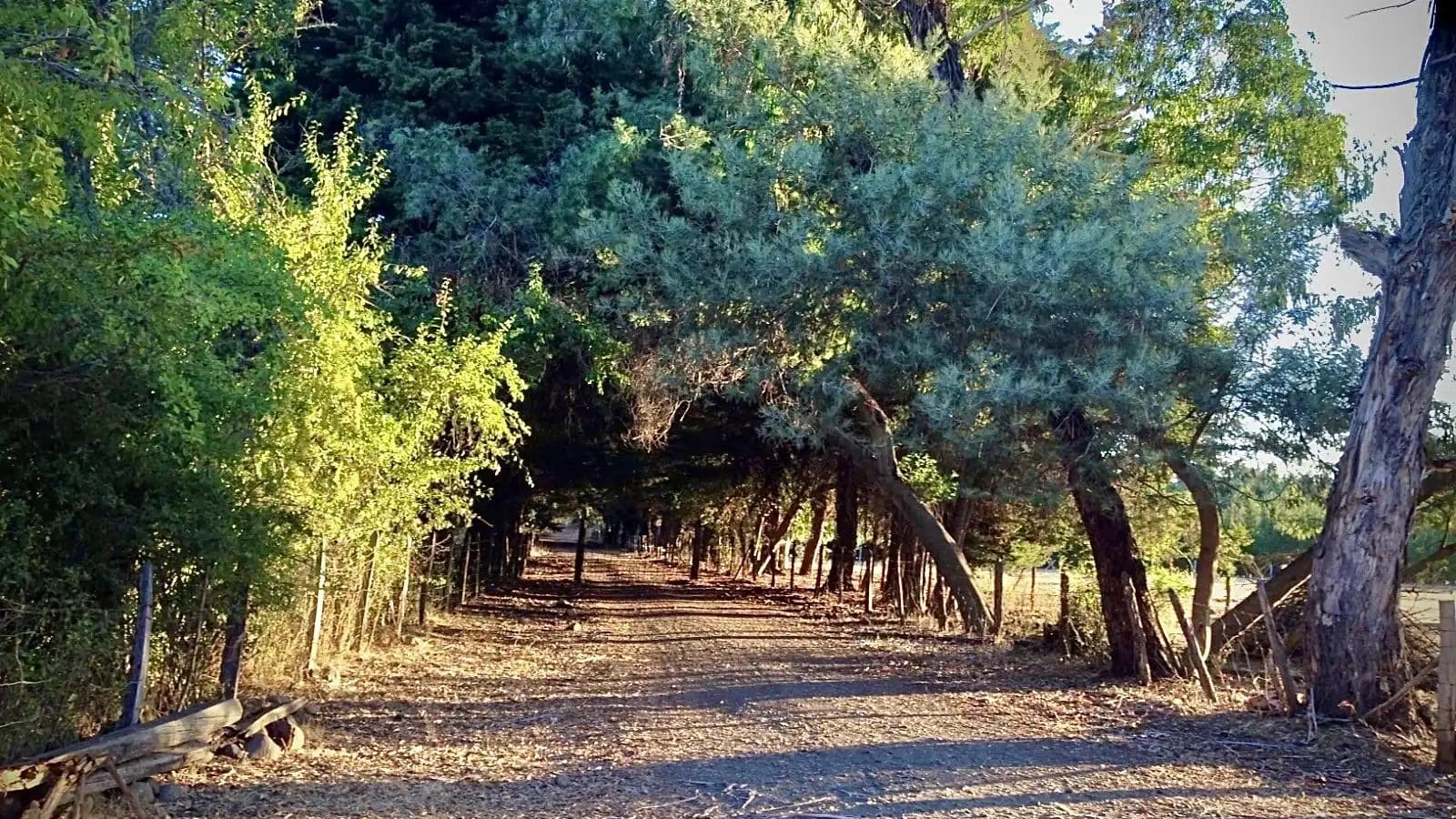 Casa en venta en Los Ángeles — foto 9