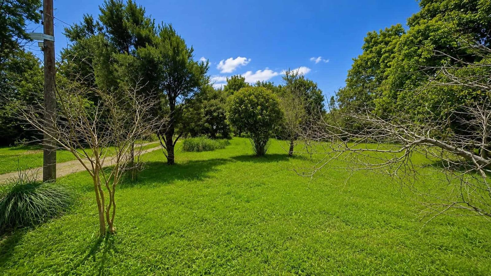 Terreno en venta en Angol — foto 3