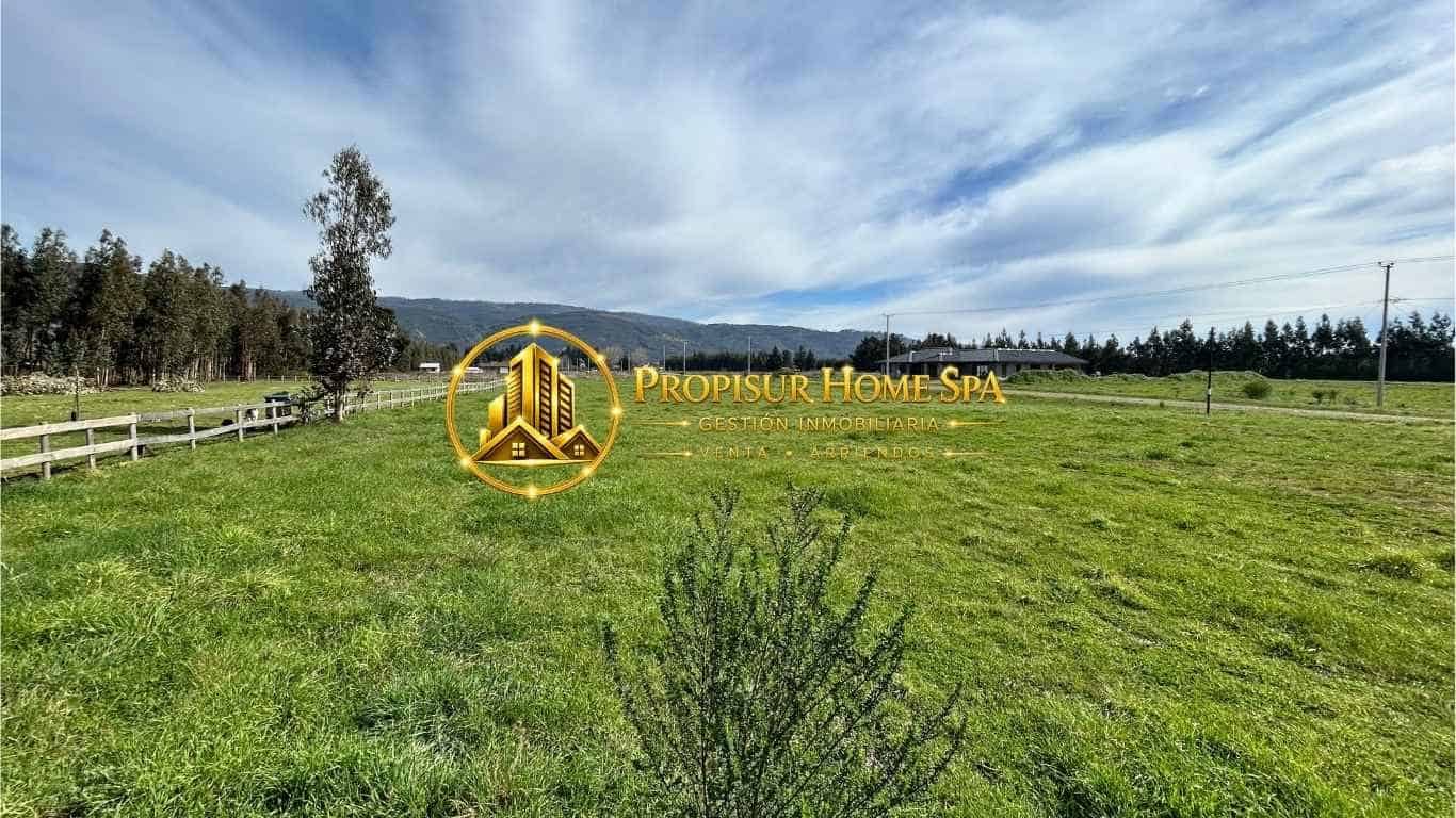 Parcela en venta en Renaico — foto 4