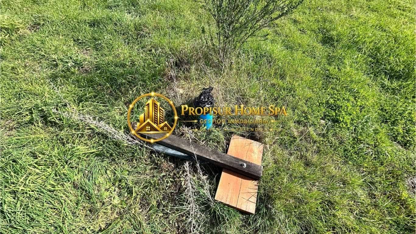 Parcela en venta en Renaico — foto 7