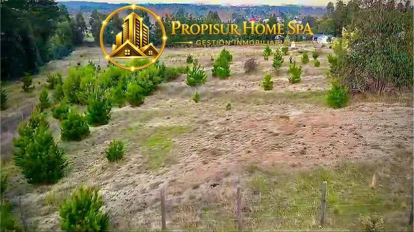 Parcela en venta en Angol — foto 3