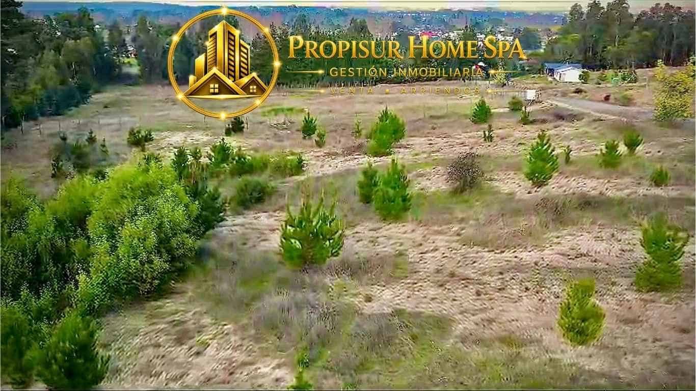 Parcela en venta en Angol — foto 7