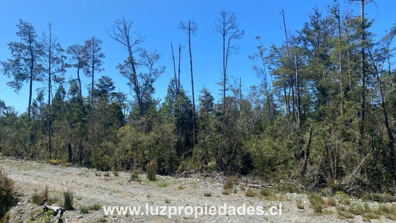 Parcela en venta en Puerto Montt — foto 7