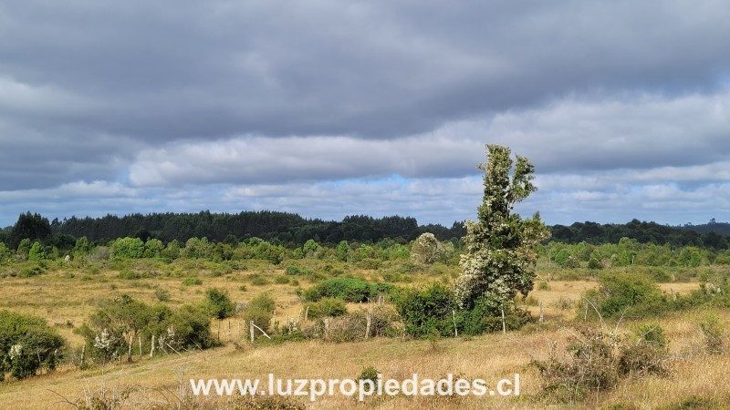 Parcela en venta en Puerto Montt — foto 2