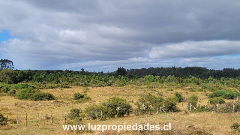 Parcela en venta en Puerto Montt — foto 4