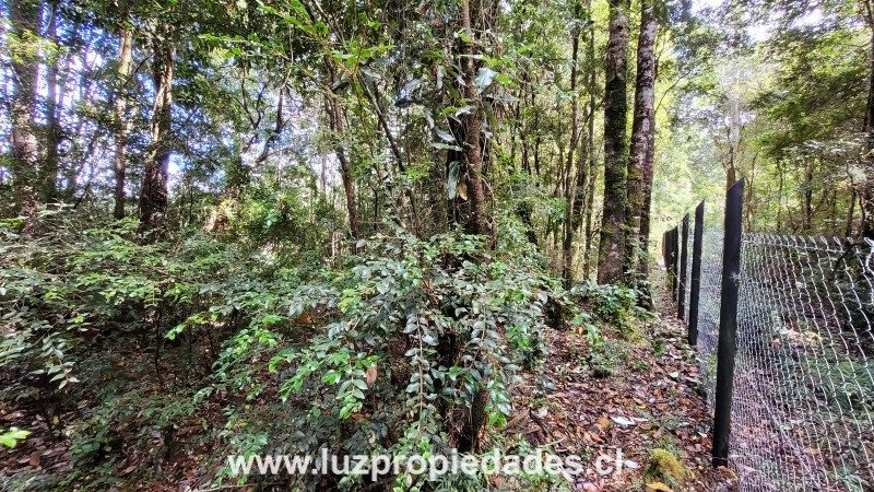 Parcela en venta en Puerto Montt — foto 8