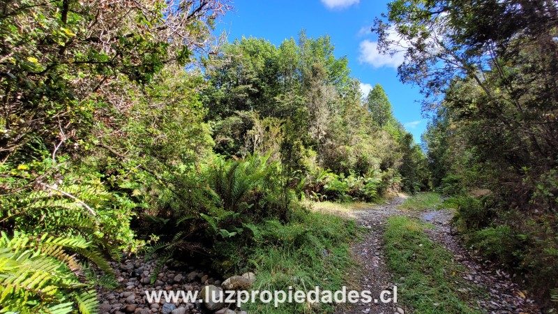 Parcela en venta en Puerto Montt — foto 8