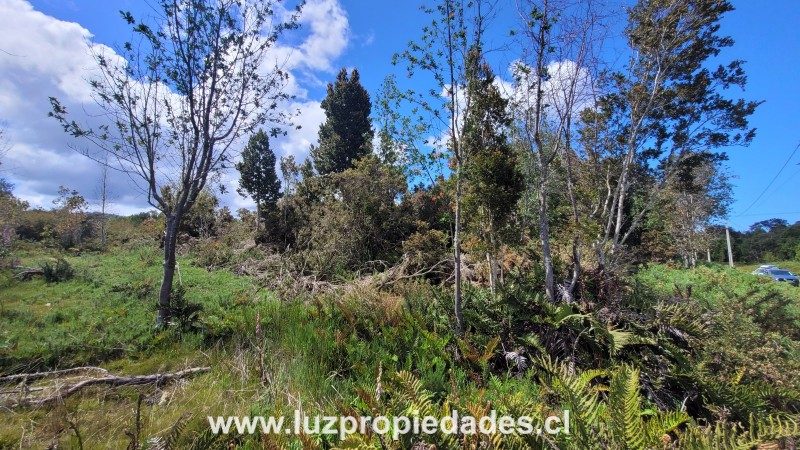Parcela en venta en Puerto Montt — foto 5