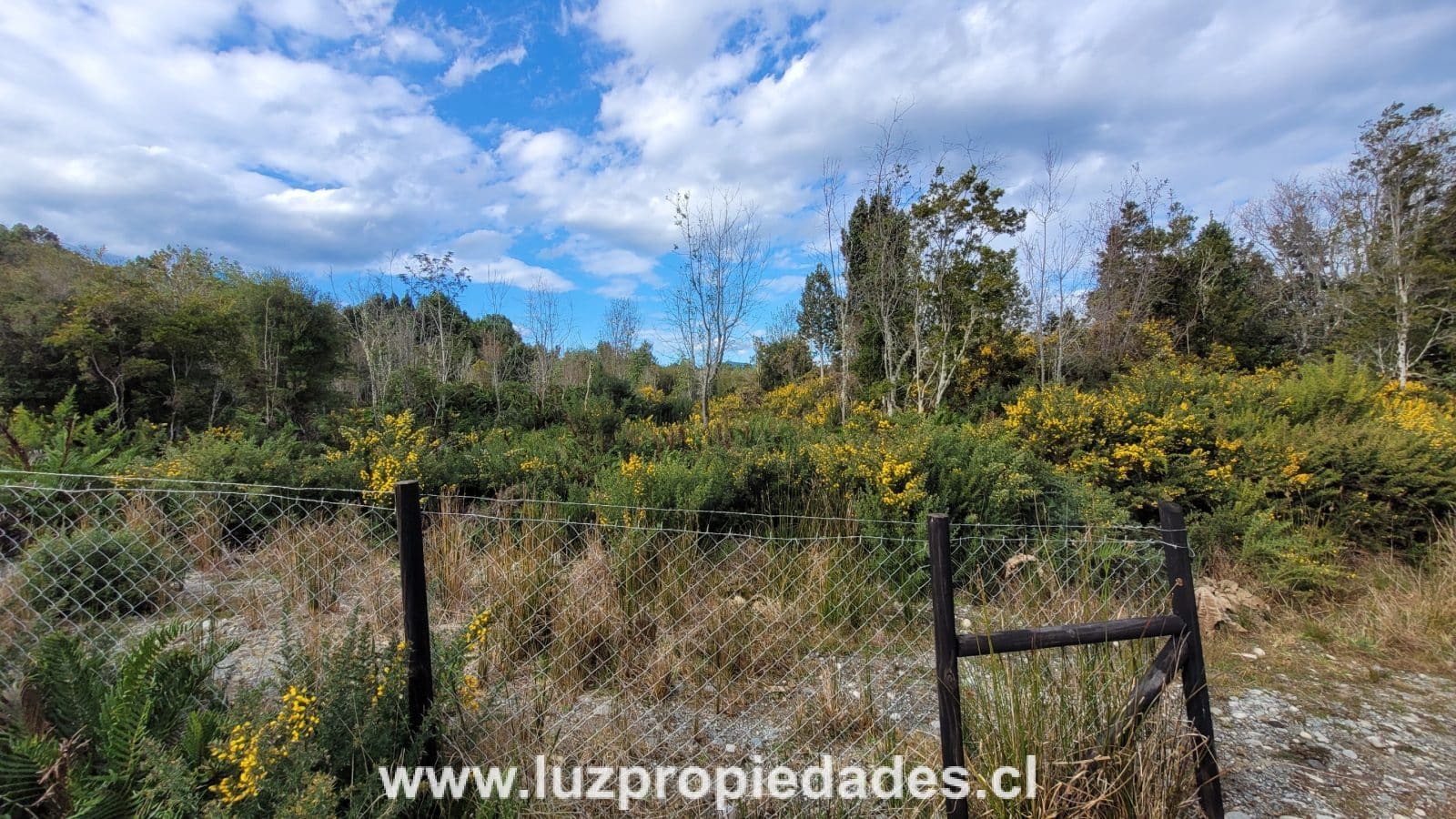 Parcela en venta en Puerto Montt — foto 4