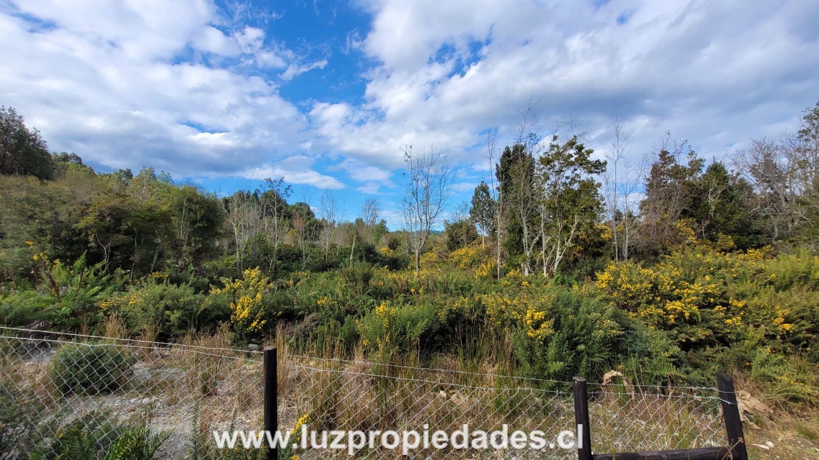 Parcela en venta en Puerto Montt — foto 5